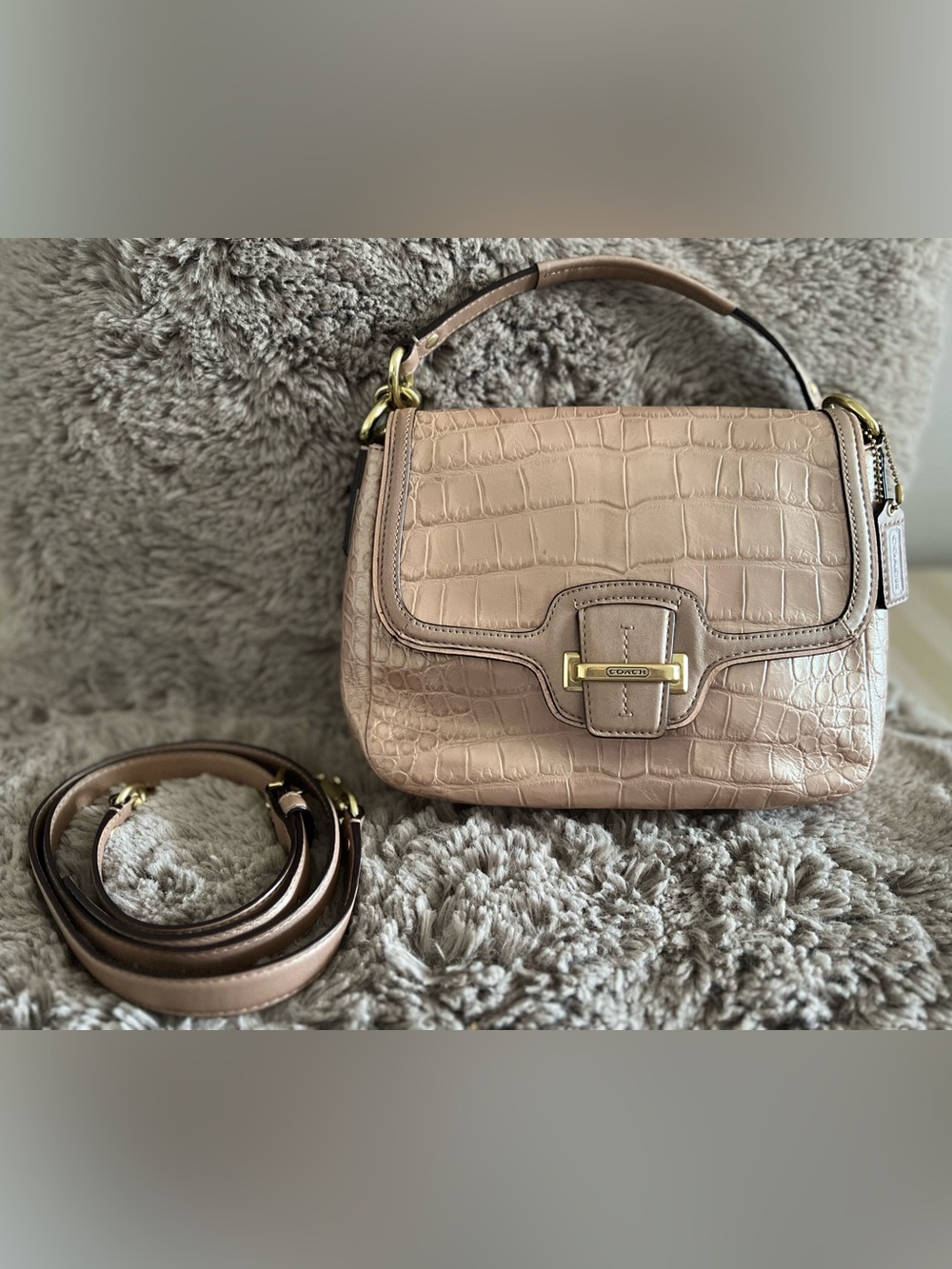 Coach Taylor Embossed Leather Bag in Sand Taupe - Picture 6 of 14